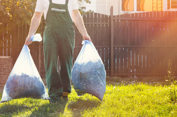 Best Attic Cleanout Services  in De Soto, IA