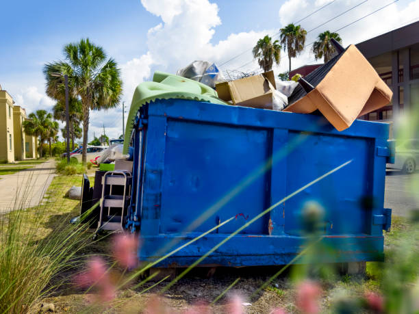 Attic Cleanout Services in De Soto, IA